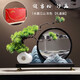 赟婭迎客松流沙畫(huà)擺件創(chuàng  )意新中式輕奢高檔客廳玄關(guān)酒架電視柜裝飾品 長(cháng)青迎客松·水墨江山[禮盒裝]