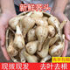 農(nóng)家特產(chǎn)新鮮藠頭時(shí)令新鮮蔬菜茭頭現(xiàn)挖現(xiàn)發(fā)新鮮泡菜蕎頭教頭蔥 現(xiàn)挖蕎頭 3斤裝大果