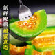 山東濰坊羊角蜜甜瓜新鮮香蜜瓜現摘頭茬應季水果甜瓜5現摘現發(fā) 5斤中果【試吃個(gè)頭較小】