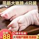 生豬蹄子新鮮豬腳手農家散養土豬肉前后豬蹄 國產(chǎn)豬肉生鮮 豬蹄 4根裝4斤（4-5根整個(gè)豬蹄）