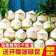 【JD產(chǎn)地直發(fā)】海南文昌新鮮椰青椰子精選大果新鮮水果 9個精選大果