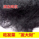 南澳特產(chǎn)  海發(fā)菜 廣東發(fā)菜  頭發(fā)菜 龍須菜干貨發(fā)菜丸子 500g