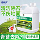 潔娘子（JIENIANGZI）青苔清除劑水泥地面墻面霉菌苔蘚藻類專用殺除去除劑水桶池清潔劑 青苔清除劑2.5kg