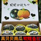 蒔薈果蔬貝貝南瓜【現貨速發(fā)】禮盒裝 板栗味粉糯香甜板栗小南瓜 新鮮蔬菜 5斤【原箱禮盒裝】