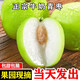 兮柔云南大青棗 棗子 牛奶棗脆甜大棗鮮棗大果當(dāng)季水果整箱 大果5斤【單果70-100g】