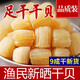 【全干干貝】瑤柱干貝干貨海鮮扇貝干扇貝柱原生元貝海產(chǎn)貝 9成干超高品質(zhì) 500g（品質(zhì)裝）