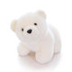 麥思倫北極熊毛絨玩具白色公仔玩偶海洋館小白熊玩偶布娃娃男女七夕禮物 經(jīng)典基礎款北極熊公仔 小號:高(15)cm長(cháng)(20)cm