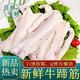 麩食哩牛蹄筋 生鮮批發(fā)牛蹄筋 生牛筋蹄筋牛大筋冷凍牛板筋火鍋燒烤食材 2斤生牛蹄筋