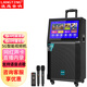 浪庭（LANGTING） 廣場舞音響帶顯示屏幕智能大屏點(diǎn)歌戶外移動(dòng)KTV家用三分頻K歌視頻拉桿音箱 LA10-5視頻機(jī)+無線雙話筒