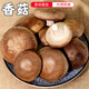 密水農(nóng)家密云農(nóng)家 本地自種香菇 鮮摘蘑菇 新鮮蔬菜 食用菌類250g