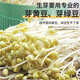 幸福屯生芽專(zhuān)用豆 芽黃豆 芽綠豆 芽黑豆雙青豆500g 發(fā)芽率高豆芽 芽黃豆500克*2袋