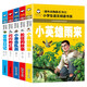 雷鋒日記+長征的故事+小游擊隊員+閃閃的紅星+小英雄雨來(共5冊）彩圖注音版愛國主義教育紅色經(jīng)典小學生一二三年級語文課外世界經(jīng)典兒童文學