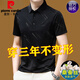 皮爾卡丹（pierre cardin）桑蠶絲POLO保羅衫男士短袖t恤冰·絲夏季薄款中年爸爸裝上衣商務(wù) A13黑色 XL 175建議140-160斤