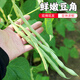 密水農家密云農家 蛇豆 豆角 400g 新鮮時(shí)令蔬菜 鮮摘鮮發(fā)