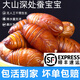 印禾年柞蠶蛹鮮活發(fā)貨東北特產(chǎn) 新鮮繭蛹特級(jí)大黃蠶蛹黑蟬蛹活A(yù)級(jí)蠶蛹 500g A級(jí)大黃蛹（約45-48只左右）