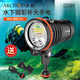ARCHON奧瞳深度潛水D39V 強光照明拍攝補光兩用手電白光紅光紫外光 D39V電池組充電器形槽YS延伸燈臂