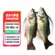 品鮮肴淡水魚淡水小河鱸魚無小刺鮮活魚現(xiàn)殺冷凍魚類水產(chǎn)去鰓去鱗去內(nèi)臟 三去凈重250-300g/條 共6條裝
