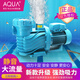 愛克（AQUA）AQUA愛克游泳池循環(huán)水泵泳池過濾沙缸溫泉浴場過濾水處理工程設(shè)備 AP-300(220V/2.2kw)