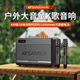 山水（SANSUI）SS330廣場(chǎng)舞音響戶外無(wú)線藍(lán)牙音箱家庭k歌功放一體機(jī)套裝手提便攜式移動(dòng)ktv影音播放器  頂配版【10喇叭單元】全新升級(jí)