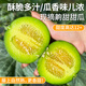 密農人家新鮮齁甜甜瓜 頭茬綠寶香瓜 脆甜小香瓜 新鮮水果齁甜綠寶甜瓜1斤 1斤（約2-3顆）
