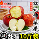 甘肅酒泉紅元帥蘋(píng)果新鮮水果粉面沙甜粉蘋(píng)果刮泥果粉糯當季可選順 75mm（含）-80mm(不含) 精選中果 3斤