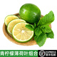 綠食者 新鮮青檸檬薄荷葉組合 食用薄荷調(diào)酒茶飲奶茶店用香料蔬菜 青檸檬500g+薄荷葉500g
