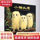 小貓頭鷹/信誼世界精選圖畫(huà)書(shū) 精裝 繪本 圖畫(huà)書(shū) 圖書(shū)