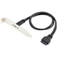 藍色閃電 USB3.1type-c臺式機擋板線(xiàn)后置面板適配器電纜主板安裝帶PCI插槽板支架 【USB/19PIN轉Type-C】0.5米