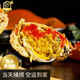 廣東正宗頭手黃油蟹 鮮活特大膏油蟹節(jié)送禮海鮮禮盒 1只膏油黃油蟹（5-6兩）