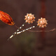 煙雨江南原創(chuàng) 發(fā)夾發(fā)卡頭飾發(fā)飾 對夾對卡學(xué)生 溫柔簡約琉璃唯美仙女 日常穿戴古風(fēng)漢服配飾 一對兩個