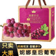 玢果萱妮娜皇后晴王葡萄羅馬紅寶石新鮮孕婦水果無(wú)籽紅提紅酒葡萄整箱裝 【高端禮盒】特級果 2000g