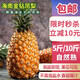 鑫果滋 海南金鉆鳳梨 手撕無眼香水小菠蘿金菠蘿樹上熟熱帶新鮮水果禮盒 5斤大果【2-3個(gè)裝】