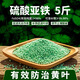 花大壯硫酸亞鐵花肥5斤 喜酸花卉肥料盆栽通用養花水溶肥茶花梔子花肥料 顆粒硫酸亞鐵【5斤】性?xún)r(jià)比
