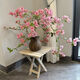 榮郁 垂絲飄枝三角梅矮樁盆栽新品陽(yáng)臺庭院花卉可常年開(kāi)花凈化空氣易 飄枝款【仙女】原土+肥料 不含盆