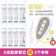 國譽(yù)（KOKUYO） Kokuyo國譽(yù)修正帶原紙色涂改帶可替換芯小學(xué)生用初中生大容量改錯帶糾錯帶靜音型修正帶 替芯8+2促銷(xiāo)裝