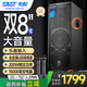 先科戶外音響大功率舞臺(tái)移動(dòng)音響便攜式專業(yè)商用會(huì)議音箱配雙話筒SA-132