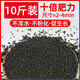 奈寵水草泥魚缸專用生態(tài)水草泥底砂造景沙凈水免洗不粉化水藻泥種植土 精選水草泥10斤裝+水草種子（送完為止）
