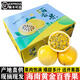 譯優(yōu)農(nóng)海南黃金百香果 純甜欽蜜9號(hào)百香果新鮮水果孕婦熱情果雞蛋果現(xiàn)摘 5斤精選大果【較多人選購】