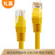 禮嘉（LIJIA）LJ-508Y 高速超五類網(wǎng)線 CAT5e網(wǎng)絡跳線非屏蔽成品網(wǎng)線八芯雙絞百兆電腦連接線工程線 黃色 8米