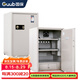 國(guó)保（Guub）保密柜Z168-B3加強(qiáng)型保密機(jī)柜機(jī)房專用電腦主機(jī)存放柜加厚保險(xiǎn)箱