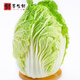 千朵云山東新鮮露天大白菜 農(nóng)家自種東北白菜當(dāng)季黃心鮮嫩華菜整箱蔬菜 約5斤