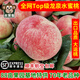 果子猴正宗成都龍泉驛高山水蜜桃白鳳軟脆桃生態(tài)種植現摘禮盒裝空運直發(fā) 軟脆雙吃水蜜桃大果6.5斤（12枚）