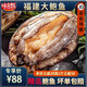 鮑魚(yú)鮮活特大冷凍鮑魚(yú)生鮮大鮑魚(yú)500g   燒烤火鍋原材料海鮮生鮮 大號(hào)鮑魚(yú)9粒裝 兩斤兩袋豪華裝[立減50] 98%選擇