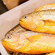 鴻順【冰鮮】黃花魚(yú)4條4斤 生鮮魚(yú)類(lèi) 寧德大黃魚(yú) 地標(biāo)產(chǎn)品 源頭直發(fā)