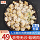 朵芙 無(wú)沙蛤蜊肉1000g 新鮮冷凍花甲肉 花蛤肉蜆子肉貝類(lèi)海鮮水產(chǎn) 蛤蜊肉 1000g