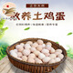 泉河西施【臨泉助農館】土雞蛋家庭裝新鮮柴雞蛋農家生態(tài) 貧困戶(hù)家養雞蛋30枚