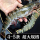 海鮮頌活凍黑虎蝦國產(chǎn)大海蝦 海捕大蝦黑節蝦冷凍海鮮水產(chǎn)蝦類(lèi)生鮮 年貨 4-5只/盒 200g(凈重)