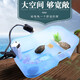 共度（Gong Du）烏龜缸帶曬臺(tái)巴西龜缸盒小型龜箱龜盆小大型家用水陸缸養(yǎng)龜缸 裸缸藍(lán)色超大號(hào) 長(zhǎng)74寬43高23cm
