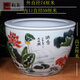 泰禧閣 景德鎮陶瓷手繪魚(yú)缸大水缸荷花缸庭院養睡蓮魚(yú)缸養魚(yú)盆 超大號荷花鯉魚(yú)