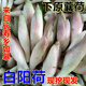 白蘘荷【順豐】農(nóng)家白陽荷新鮮綠陽荷 青陽荷姜 3斤 新鮮白陽荷
